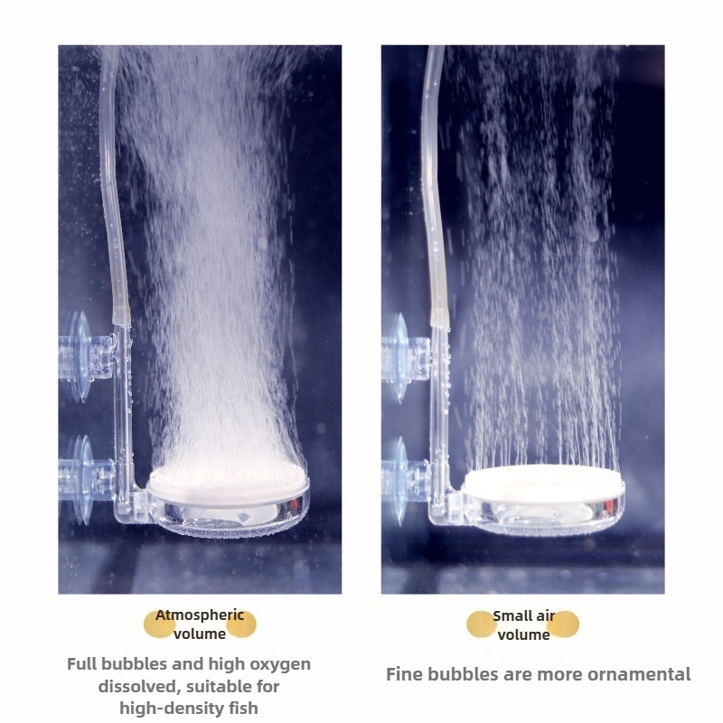 물고기 탱크 필터 수족관 정제기 CO2 디퓨저 산소 플 - Air Stone Diffuser 리뷰 및 가격